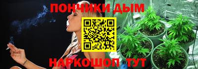 ГАЛЛЮЦИНОГЕННЫЕ ГРИБЫ Кингисепп