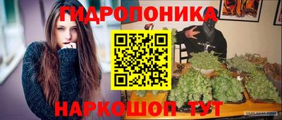 ГАЛЛЮЦИНОГЕННЫЕ ГРИБЫ Кингисепп