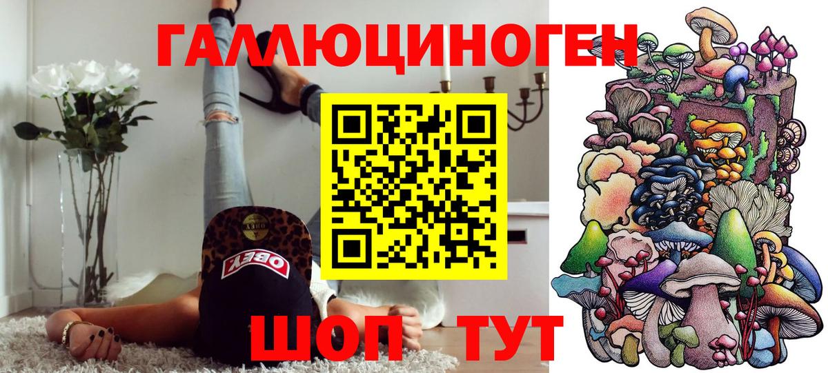 Псилоцибиновые грибы Psilocybine cubensis Кыштым
