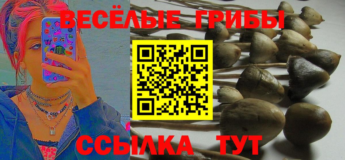 Кыштым  Псилоцибиновые грибы ЛСД  Вход с VPN 