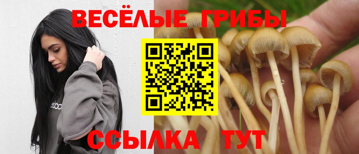 КОКАИН  Гашиш  ГАШ  Кыштым  Вход с VPN  МЕТАМФЕТАМИН  Меф МЯУ МЯУ кристаллы  Марихуана  NBOMe 